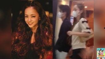 日本黄在线视频,内容解析与影响探讨