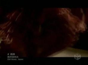 坂井 在线视频,揭秘音乐才子坂井的精彩瞬间