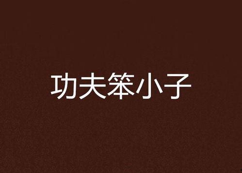 功夫笨小子在线视频观看,逆袭之路，笑料百出的武术奇缘